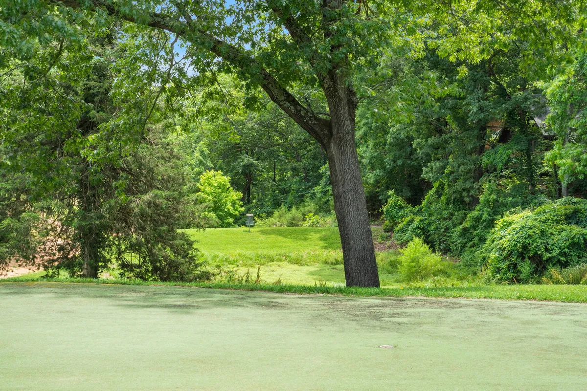 A large tree stands on an expansive green lawn, surrounded by lush shrubbery and dappled in natural sunlight. The open space is tranquil and ideal for outdoor activities such as dog-walking, picnicking, and relaxed play, with an inviting atmosphere that beckons families and their pets.